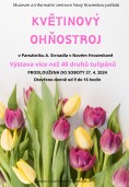 PRODLOUŽENÍ VÝSTAVY TULIPÁNŮ 18.4.