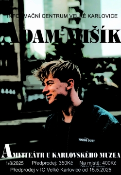 ADAM MIŠÍK