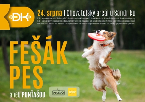 FEŠÁK PES ANEB PUNŤAŠOU