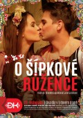 DIVADLO DĚTEM: O ŠÍPKOVÉ RŮŽENCE