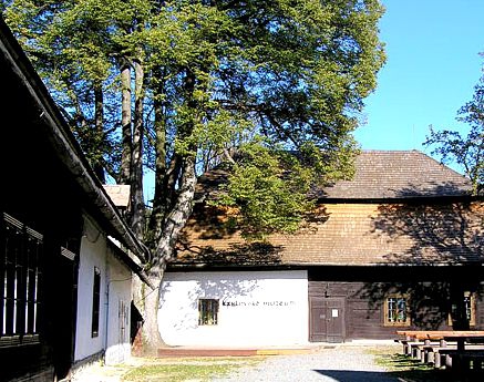Lípa u Karlovského muzea