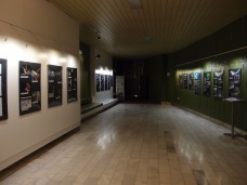 Foyer kina Vatra